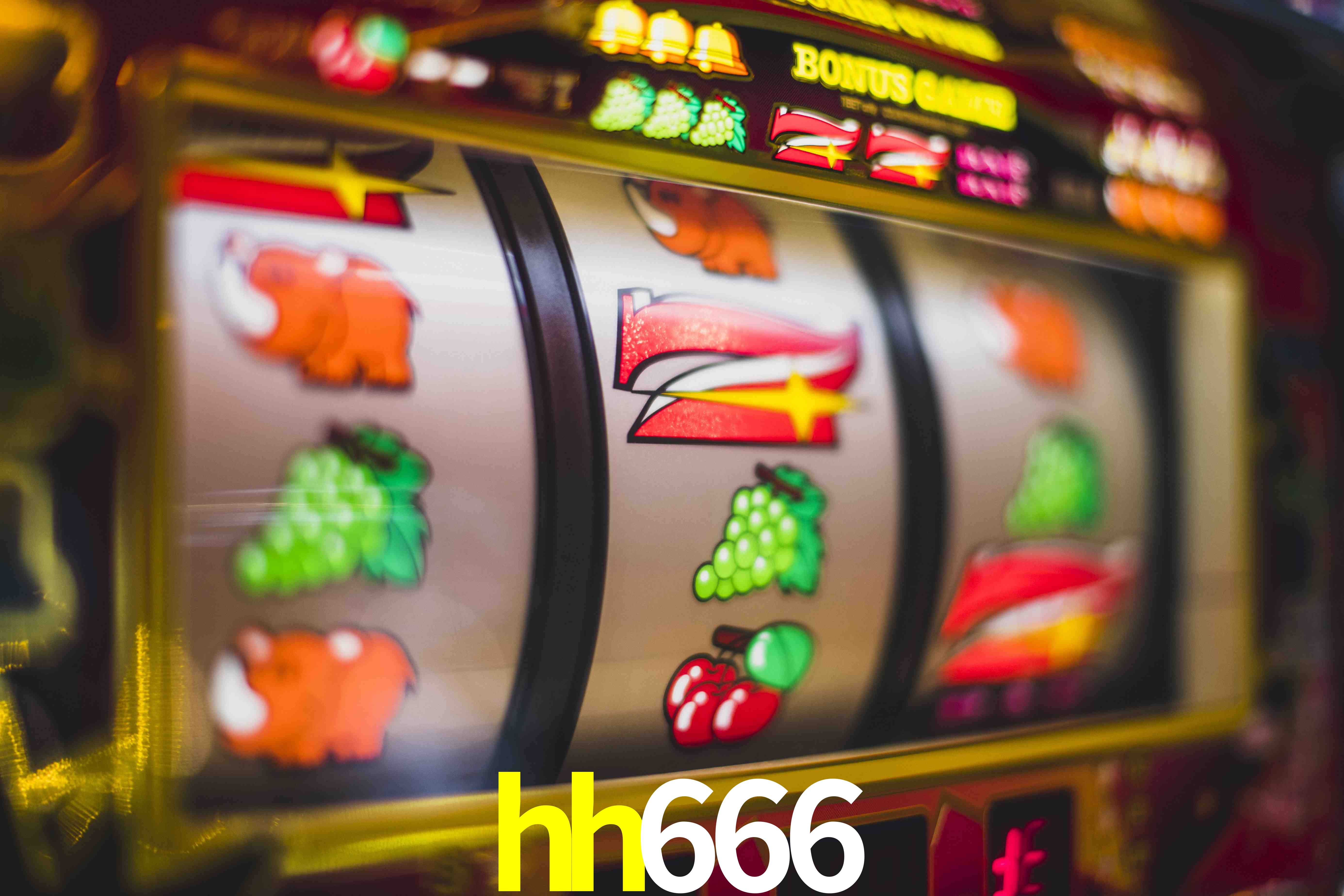 Experiência VIP hh666